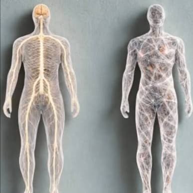 3 Myofascial release at Therapeutic Roots in Lexington, SC